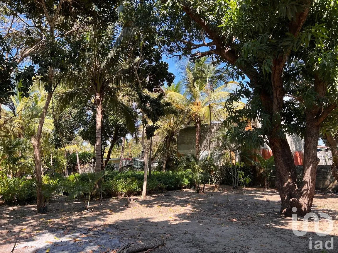 Terreno en Venta en Parque Ecológico de Viveristas, Acapulco de Juárez, Guerrero | NEX-163067 | iad México | Foto 9 de 12