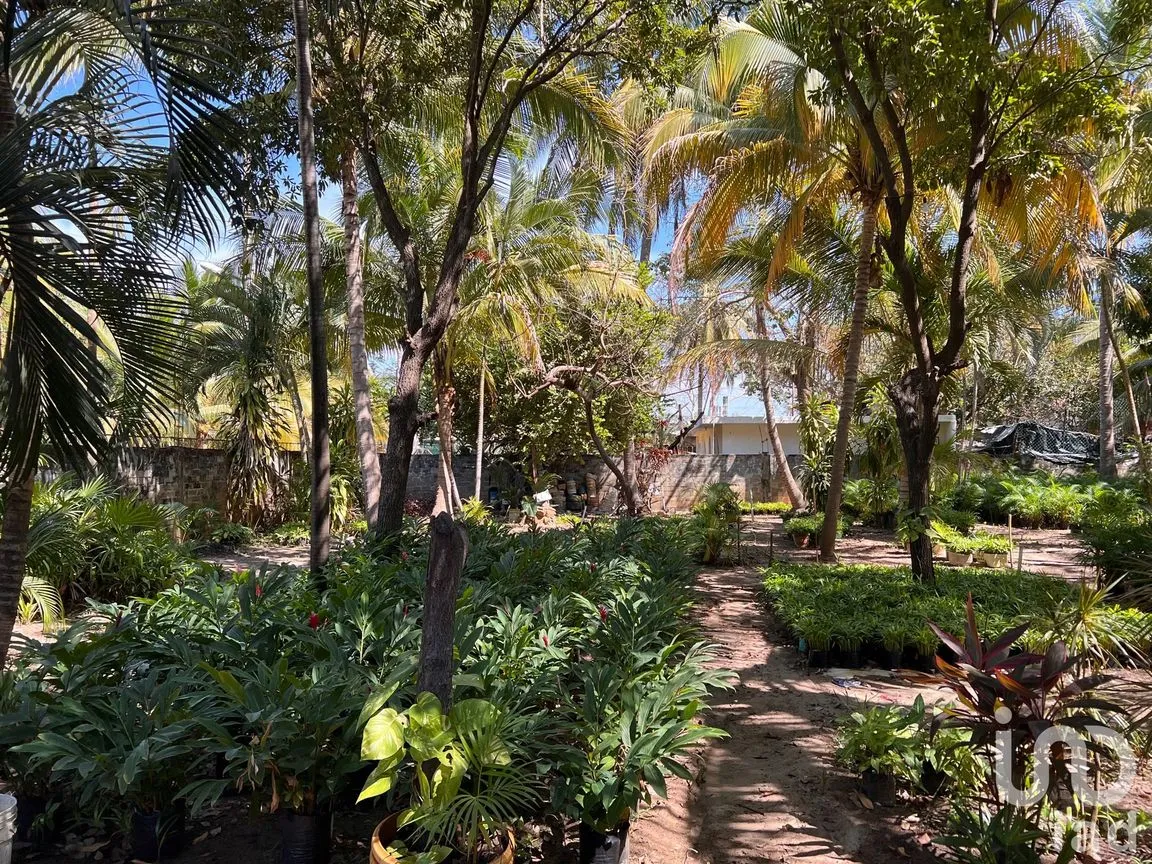 Terreno en Venta en Parque Ecológico de Viveristas, Acapulco de Juárez, Guerrero | NEX-163067 | iad México | Foto 6 de 12