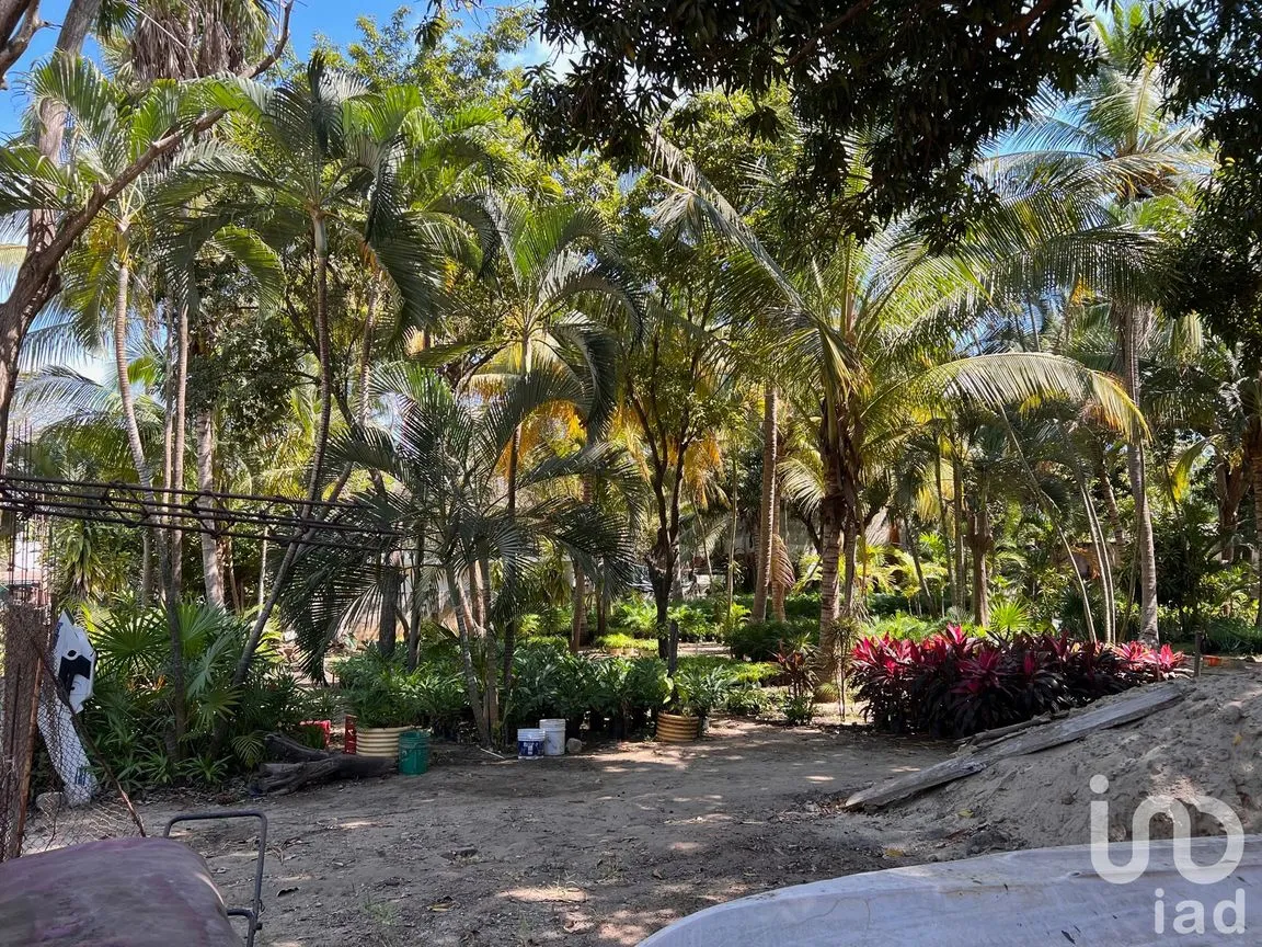 Terreno en Venta en Parque Ecológico de Viveristas, Acapulco de Juárez, Guerrero | NEX-163067 | iad México | Foto 7 de 12