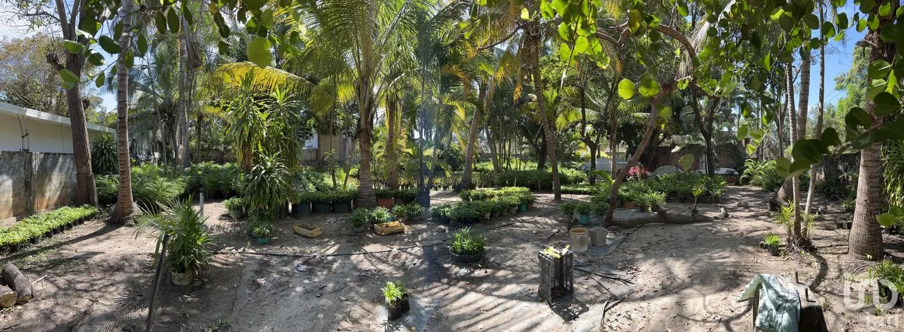 Terreno en Venta en Parque Ecológico de Viveristas, Acapulco de Juárez, Guerrero | NEX-163067 | iad México | Foto 12 de 12