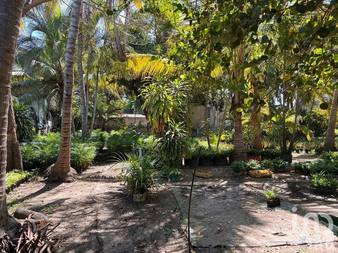 Terreno en Venta en Parque Ecológico de Viveristas, Acapulco de Juárez, Guerrero | NEX-163067 | iad México | Foto 11 de 12