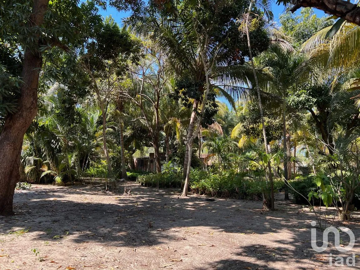 Terreno en Venta en Parque Ecológico de Viveristas, Acapulco de Juárez, Guerrero | NEX-163067 | iad México | Foto 10 de 12