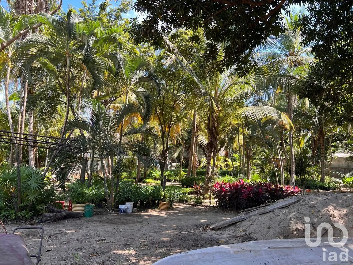 Terreno en Venta en Parque Ecológico de Viveristas, Acapulco de Juárez, Guerrero | NEX-163067 | iad México | Foto 4 de 12