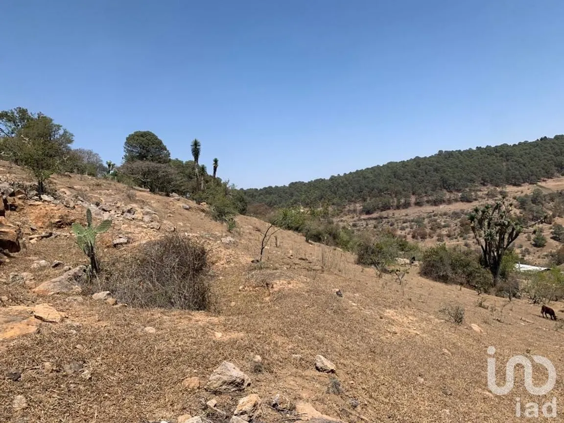 Terreno en Venta en Tarímbaro, Tarímbaro, Michoacán de Ocampo | NEX-166991 | iad México | Foto 2 de 6