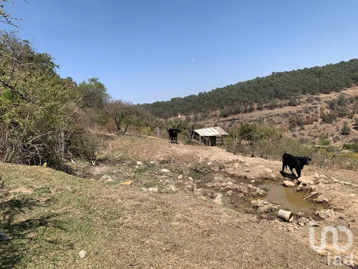 Terreno en Venta en Tarímbaro, Tarímbaro, Michoacán de Ocampo | NEX-166991 | iad México | Foto 4 de 6