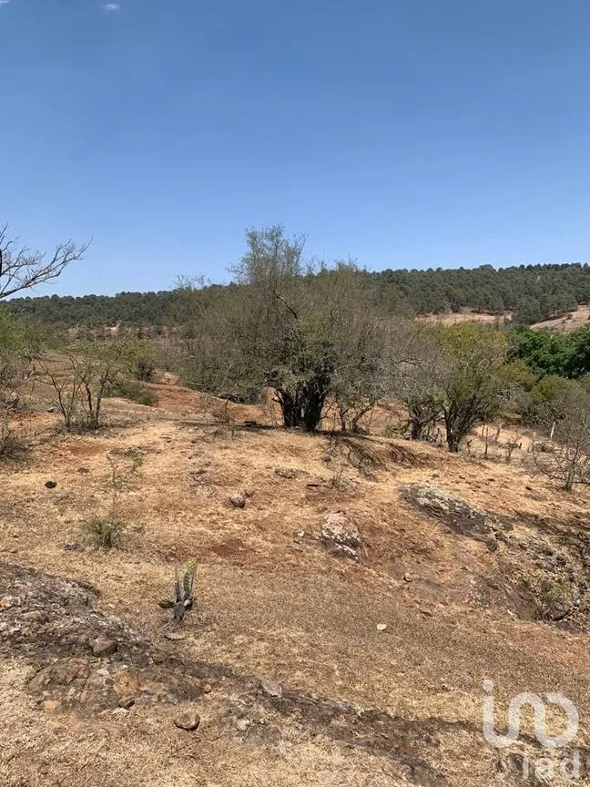 Terreno en Venta en Tarímbaro, Tarímbaro, Michoacán de Ocampo | NEX-166991 | iad México | Foto 6 de 6
