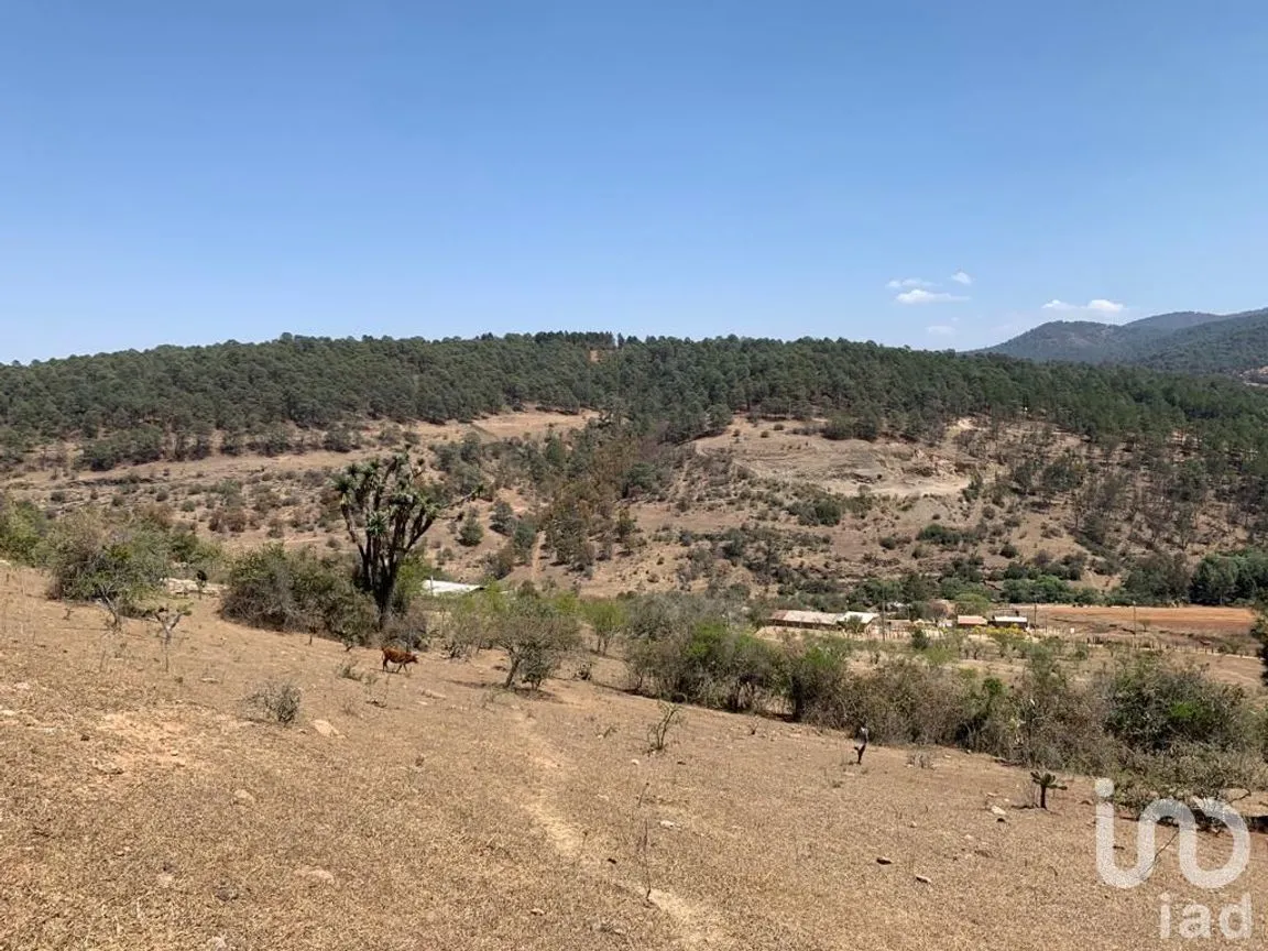 Terreno en Venta en Tarímbaro, Tarímbaro, Michoacán de Ocampo | NEX-166991 | iad México | Foto 3 de 6
