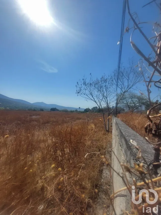 Terreno en Venta en Los Cajetes, Tlaltizapán de Zapata, Morelos | NEX-171976 | iad México | Foto 22 de 26