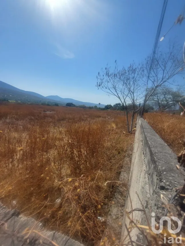 Terreno en Venta en Los Cajetes, Tlaltizapán de Zapata, Morelos | NEX-171976 | iad México | Foto 20 de 26