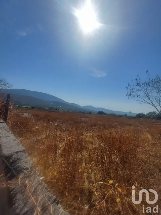 Terreno en Venta en Los Cajetes, Tlaltizapán de Zapata, Morelos | NEX-171976 | iad México | Foto 21 de 26
