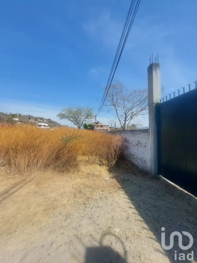 Terreno en Venta en Los Cajetes, Tlaltizapán de Zapata, Morelos | NEX-171976 | iad México | Foto 3 de 26