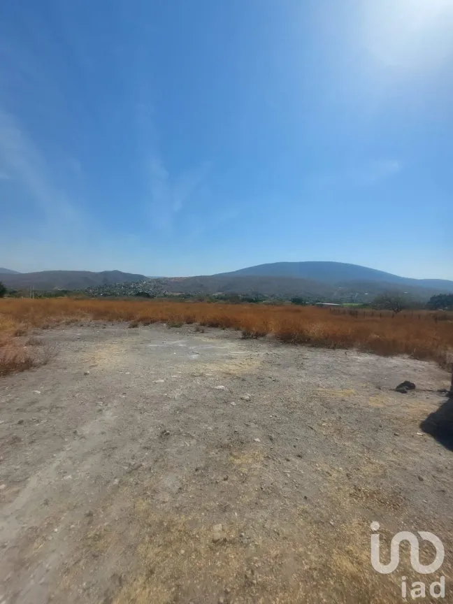 Terreno en Venta en Los Cajetes, Tlaltizapán de Zapata, Morelos | NEX-171976 | iad México | Foto 9 de 26