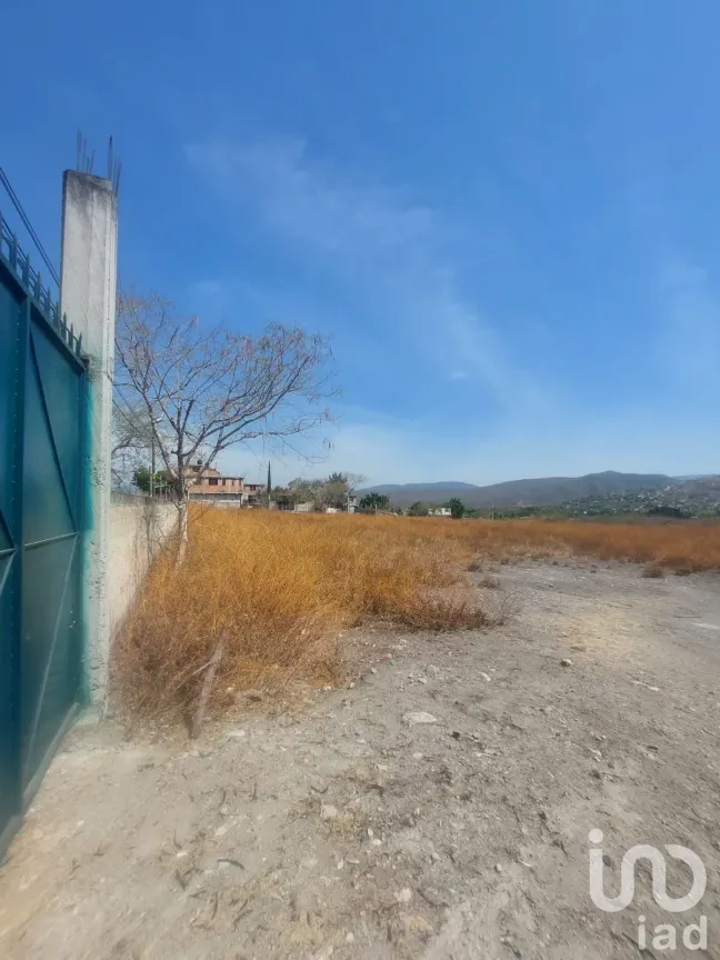 Terreno en Venta en Los Cajetes, Tlaltizapán de Zapata, Morelos | NEX-171976 | iad México | Foto 2 de 26