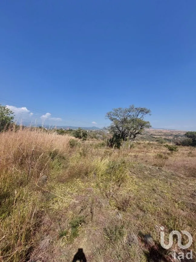 Terreno en Venta en Tlayacapan Centro, Tlayacapan, Morelos | NEX-174989 | iad México | Foto 11 de 11