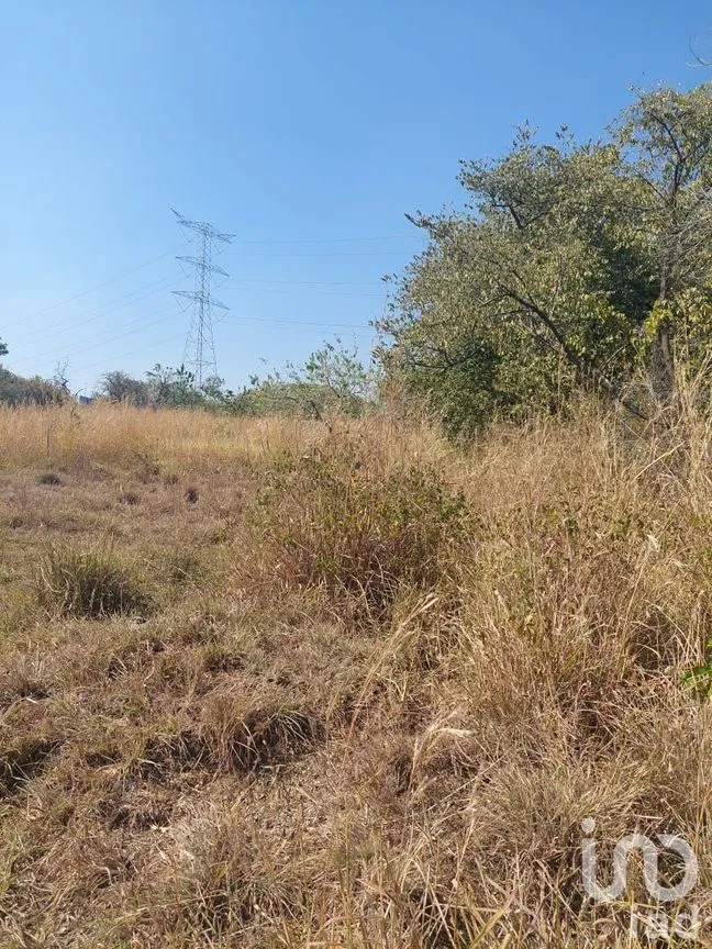Terreno en Venta en Tlayacapan Centro, Tlayacapan, Morelos | NEX-174989 | iad México | Foto 3 de 11