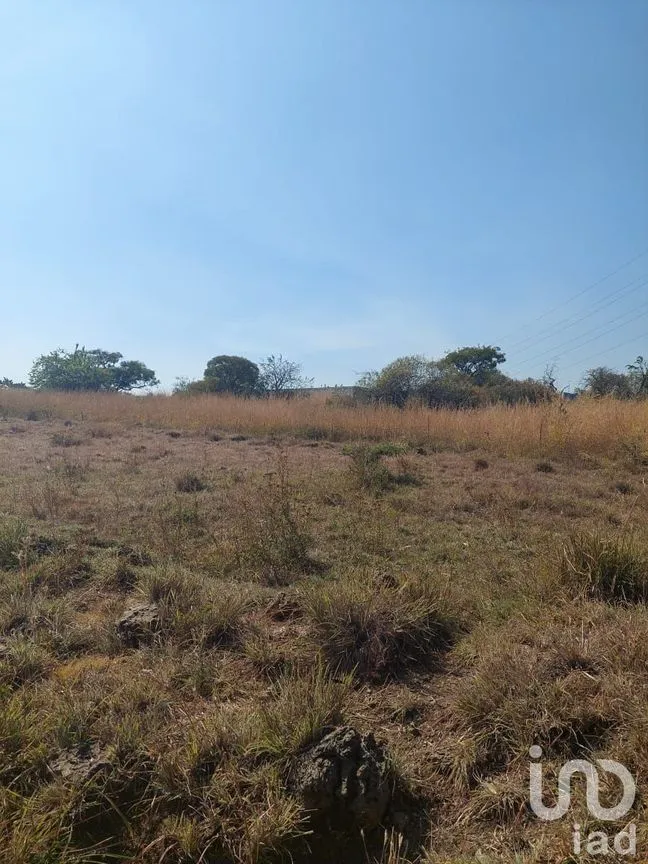 Terreno en Venta en Tlayacapan Centro, Tlayacapan, Morelos | NEX-174989 | iad México | Foto 4 de 11