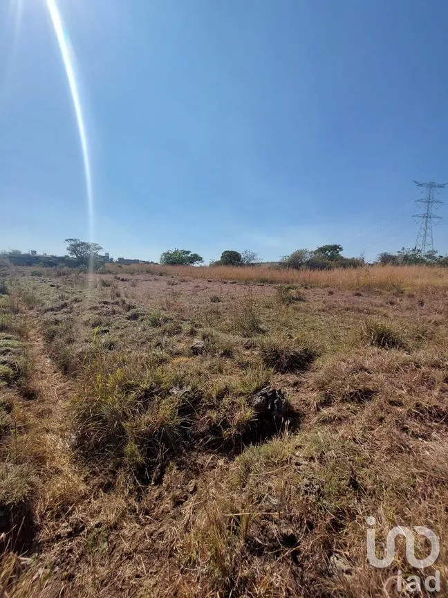 Terreno en Venta en Tlayacapan Centro, Tlayacapan, Morelos | NEX-174989 | iad México | Foto 5 de 11