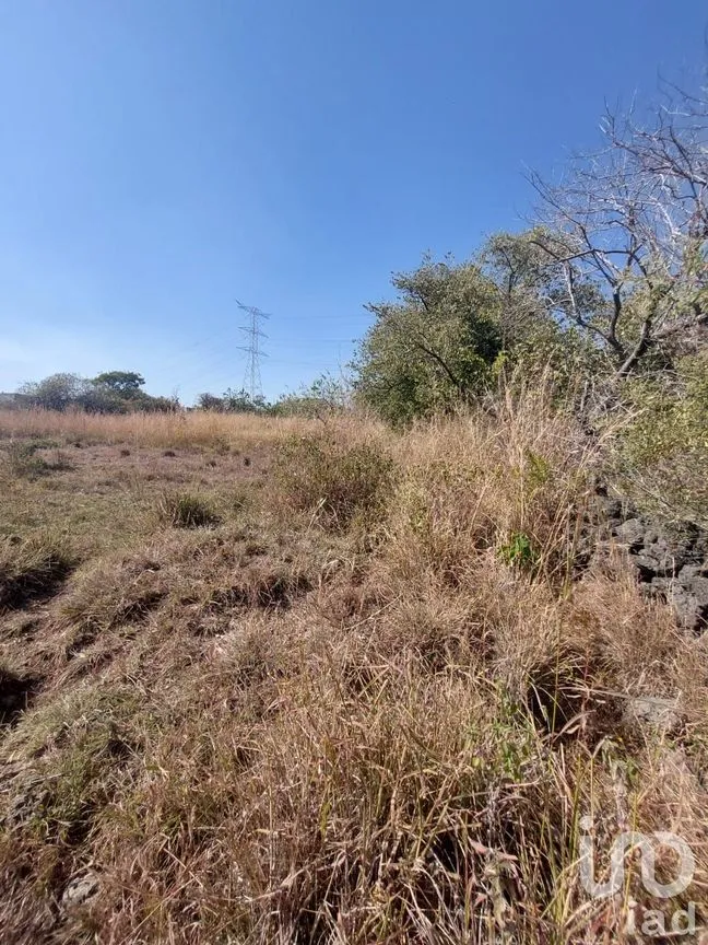 Terreno en Venta en Tlayacapan Centro, Tlayacapan, Morelos | NEX-174989 | iad México | Foto 6 de 11