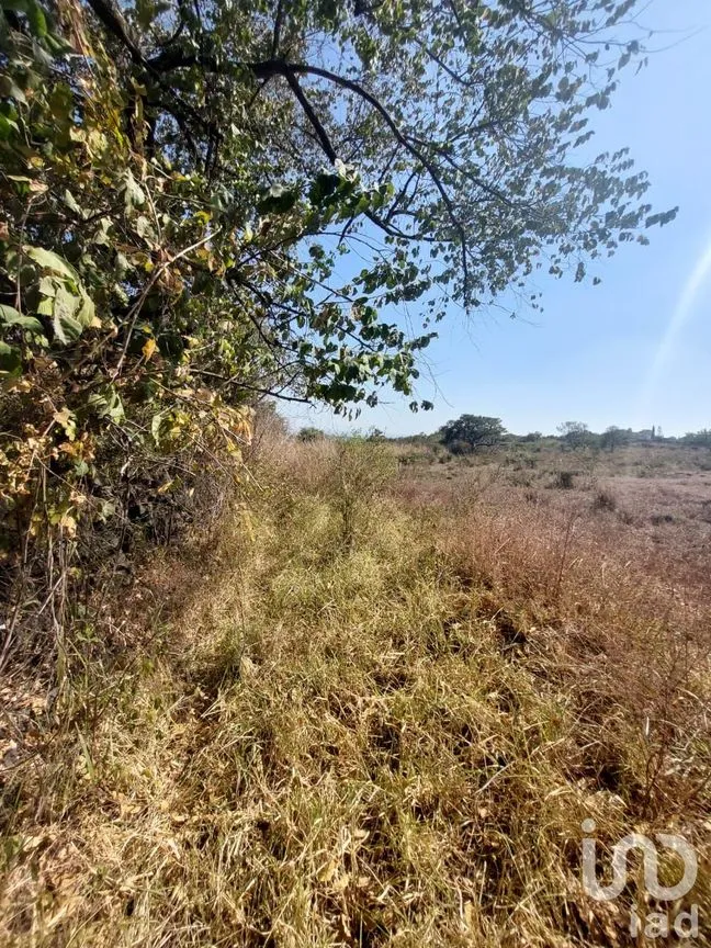 Terreno en Venta en Tlayacapan Centro, Tlayacapan, Morelos | NEX-174989 | iad México | Foto 7 de 11