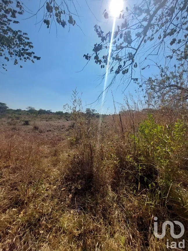 Terreno en Venta en Tlayacapan Centro, Tlayacapan, Morelos | NEX-174989 | iad México | Foto 8 de 11