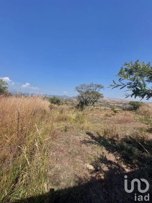 Terreno en Venta en Tlayacapan Centro, Tlayacapan, Morelos | NEX-174989 | iad México | Foto 9 de 11