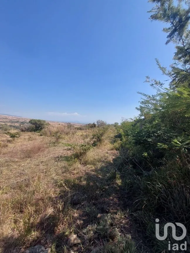 Terreno en Venta en Tlayacapan Centro, Tlayacapan, Morelos | NEX-174989 | iad México | Foto 10 de 11