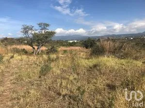 NEX-174989 - Terreno en Venta en Tlayacapan Centro, CP 62540, Morelos.