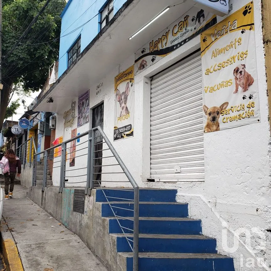 Edificio en Venta en Olivar del Conde 1a Sección, Álvaro Obregón, Ciudad de México | NEX-182411 | iad México | Foto 3 de 26