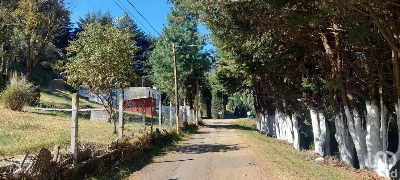 Casa en Renta en Santo Tomas Ajusco, Tlalpan, Ciudad de México | NEX-196860 | iad México | Foto 28 de 28