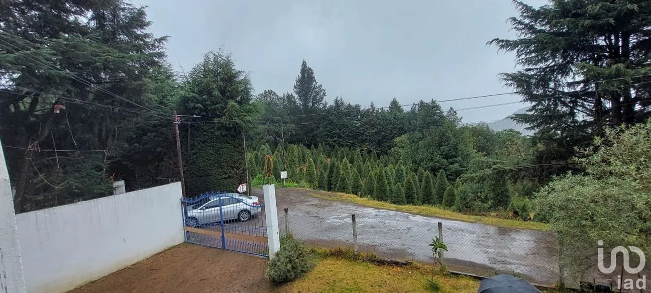 Casa en Renta en Santo Tomas Ajusco, Tlalpan, Ciudad de México | NEX-196860 | iad México | Foto 5 de 28