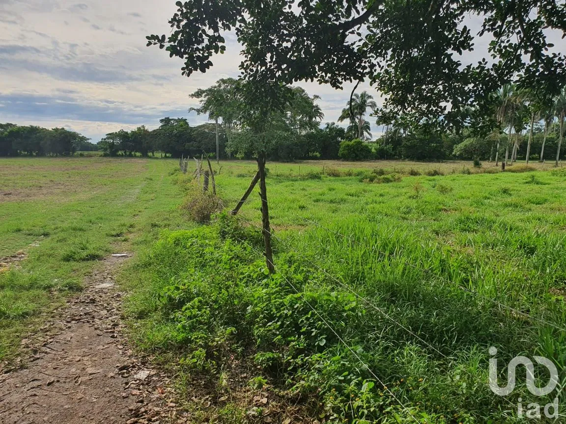 Terreno en Venta en Los Robles, Medellín de Bravo, Veracruz de Ignacio de la Llave | NEX-57805 | iad México | Foto 4 de 4