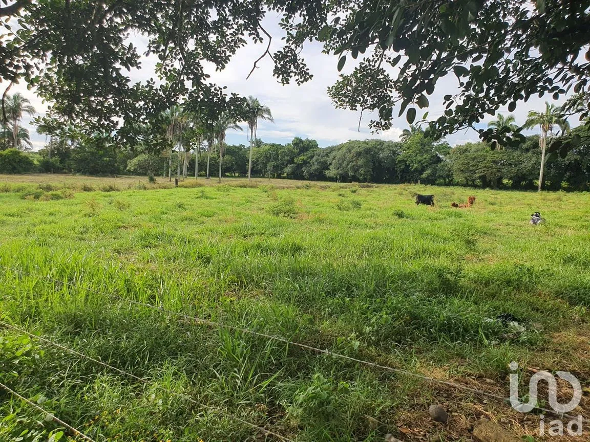 Terreno en Venta en Los Robles, Medellín de Bravo, Veracruz de Ignacio de la Llave | NEX-57805 | iad México | Foto 3 de 4