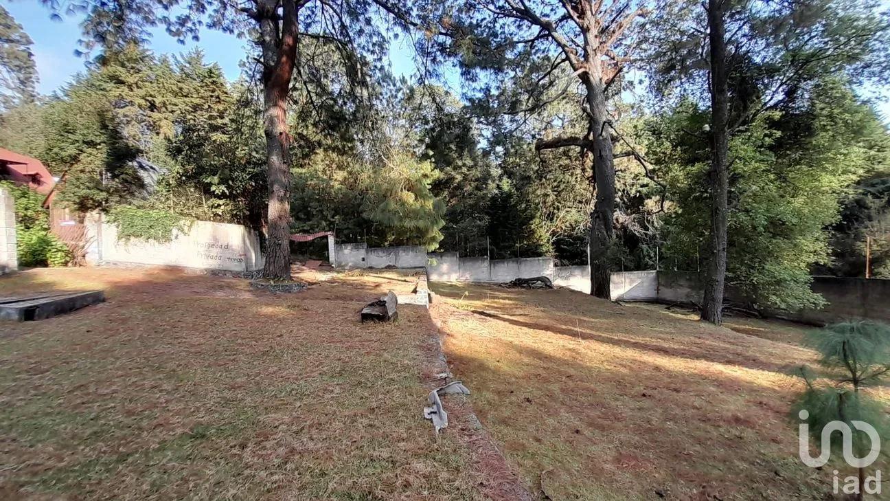 Terreno en Venta en Coajomulco, Huitzilac, Morelos | NEX-193080 | iad México | Foto 2 de 13