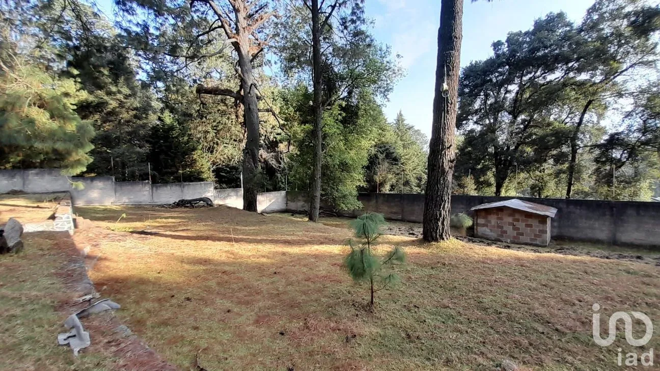 Terreno en Venta en Coajomulco, Huitzilac, Morelos | NEX-193080 | iad México | Foto 3 de 13