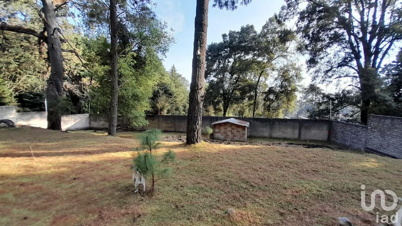 Terreno en Venta en Coajomulco, Huitzilac, Morelos | NEX-193080 | iad México | Foto 4 de 13