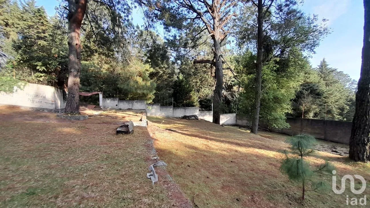 Terreno en Venta en Coajomulco, Huitzilac, Morelos | NEX-193080 | iad México | Foto 6 de 13