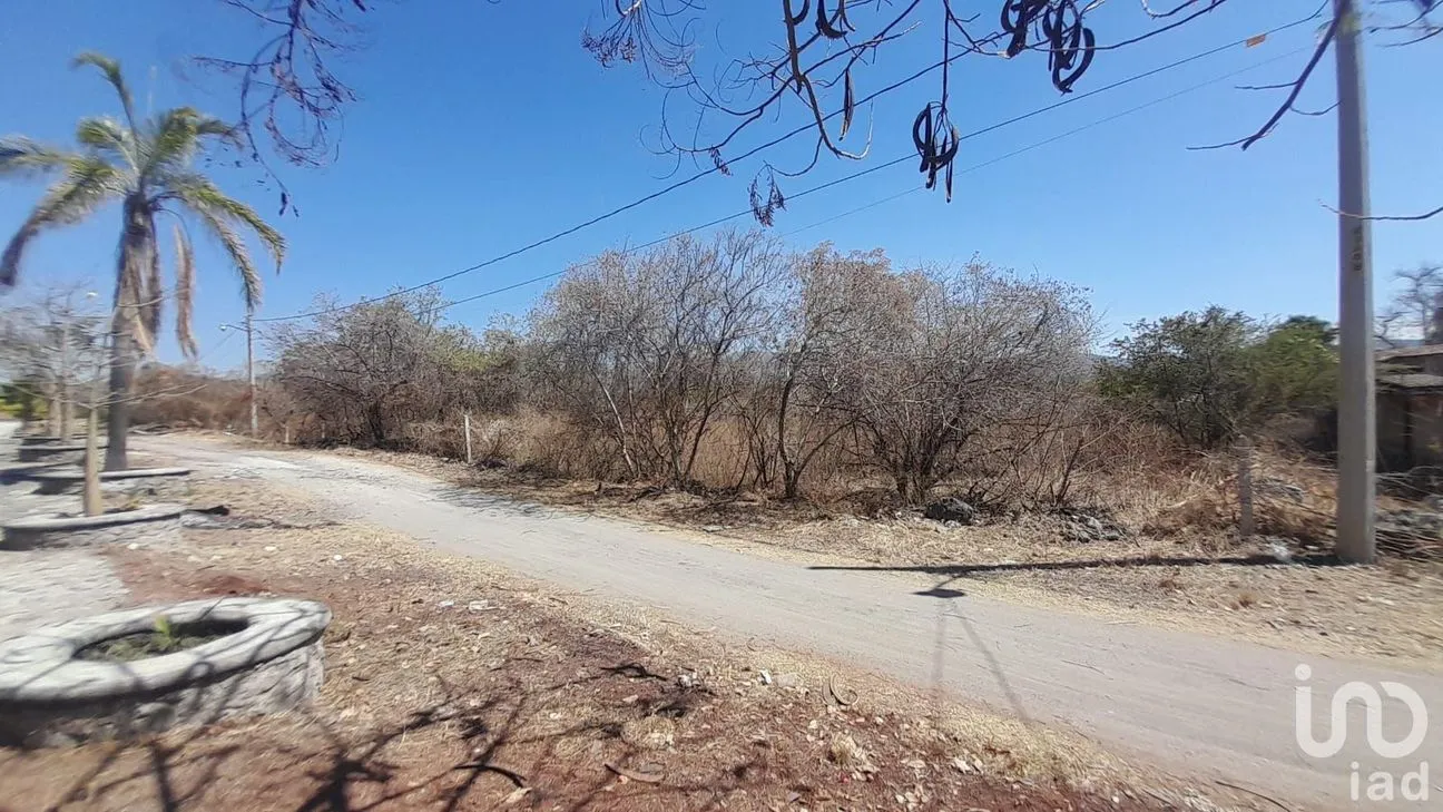 Terreno en Venta en Tetecalita, Emiliano Zapata, Morelos | NEX-194101 | iad México | Foto 3 de 9
