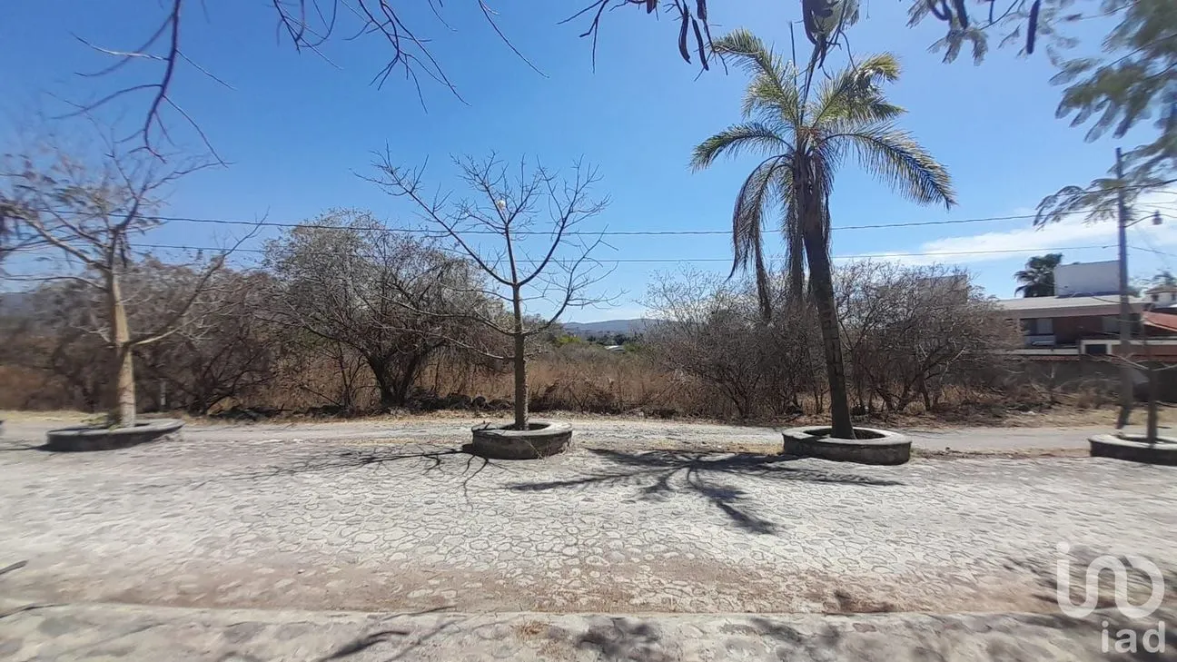 Terreno en Venta en Tetecalita, Emiliano Zapata, Morelos | NEX-194101 | iad México | Foto 4 de 9