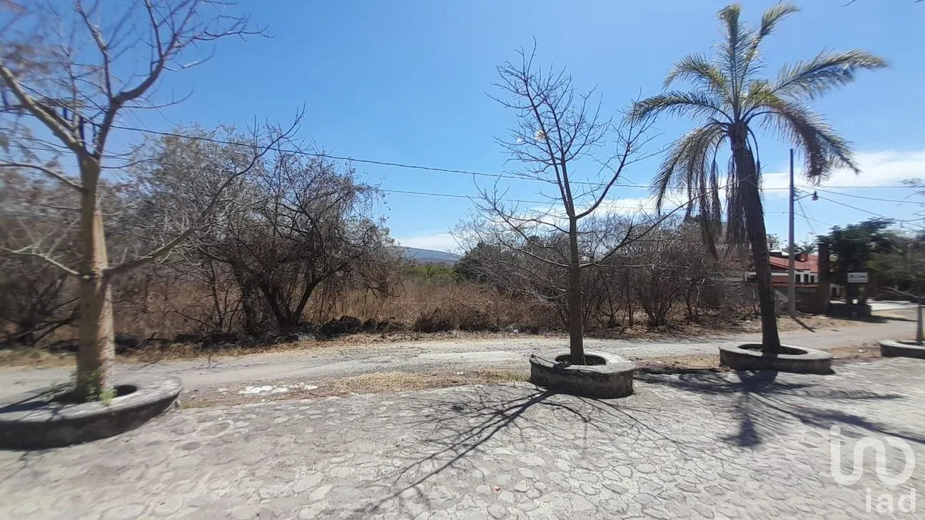 Terreno en Venta en Tetecalita, Emiliano Zapata, Morelos | NEX-194101 | iad México | Foto 5 de 9