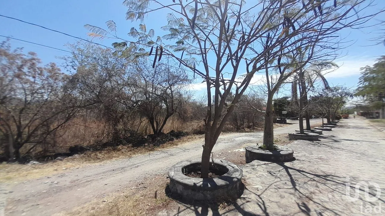 Terreno en Venta en Tetecalita, Emiliano Zapata, Morelos | NEX-194101 | iad México | Foto 6 de 9