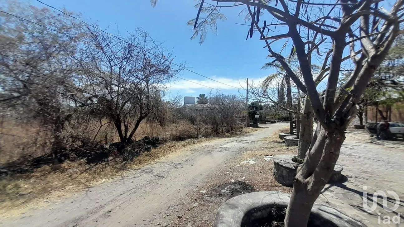 Terreno en Venta en Tetecalita, Emiliano Zapata, Morelos | NEX-194101 | iad México | Foto 7 de 9