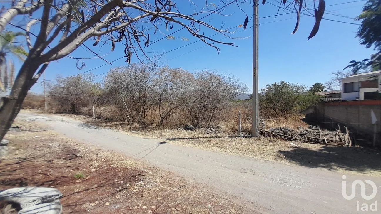 Terreno en Venta en Tetecalita, Emiliano Zapata, Morelos | NEX-194101 | iad México | Foto 8 de 9