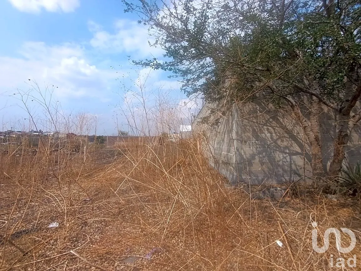Terreno en Venta en Ampliación Hermenegildo Galeana, Cuautla, Morelos | NEX-297466 | iad México | Foto 12 de 14