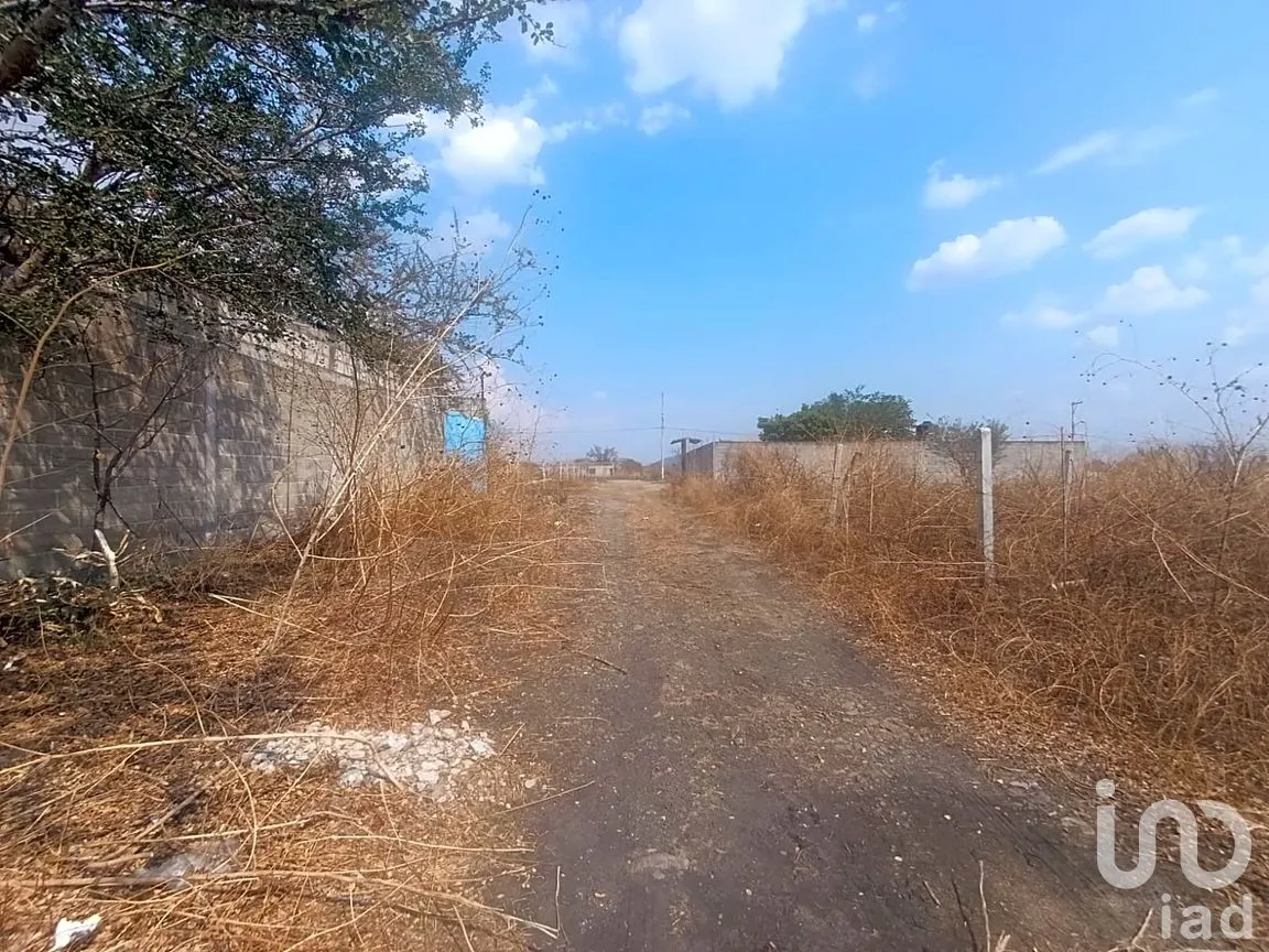 Terreno en Venta en Ampliación Hermenegildo Galeana, Cuautla, Morelos | NEX-297466 | iad México | Foto 13 de 14