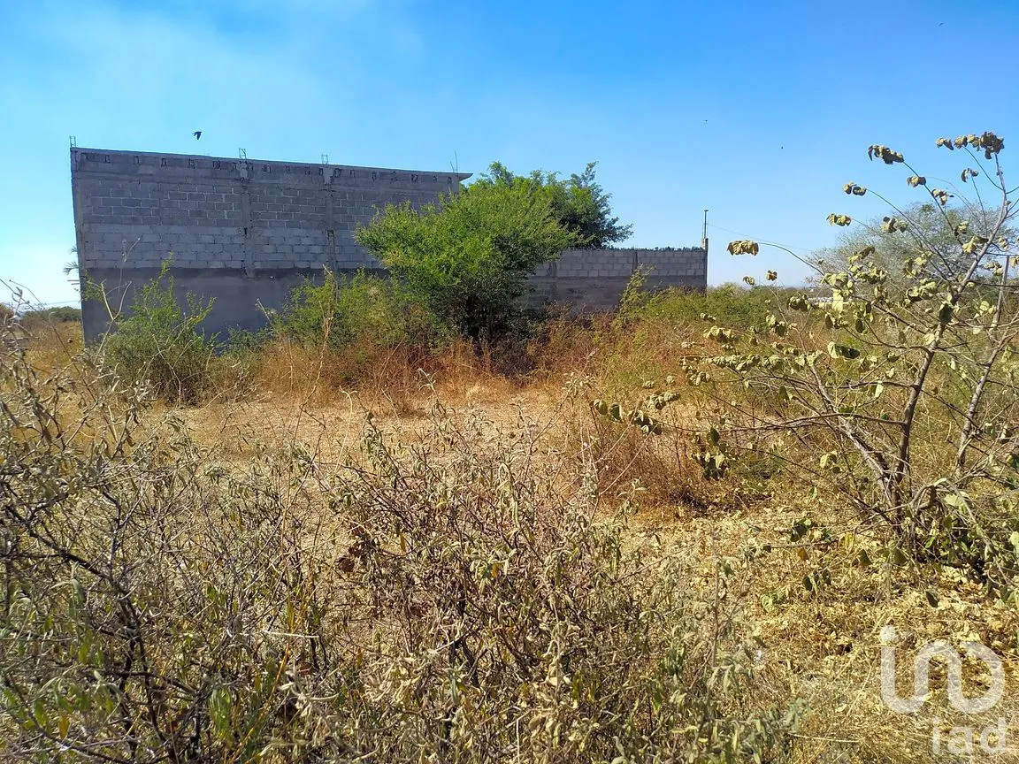 Terreno en Venta en Ampliación Hermenegildo Galeana, Cuautla, Morelos | NEX-297466 | iad México | Foto 3 de 14