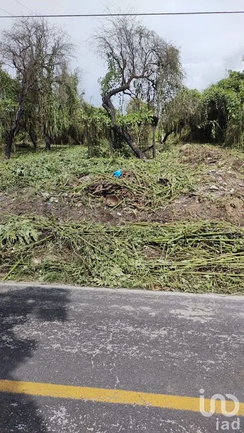 Terreno en Venta en Tequesquitengo, Jojutla, Morelos | NEX-55446 | iad México | Foto 9 de 11