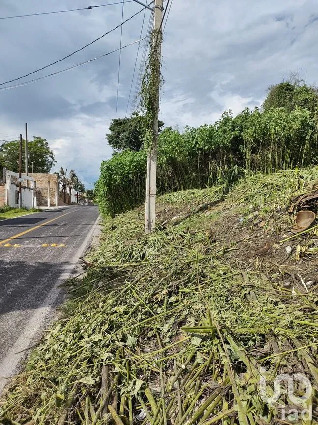 Terreno en Venta en Tequesquitengo, Jojutla, Morelos | NEX-55446 | iad México | Foto 1 de 11