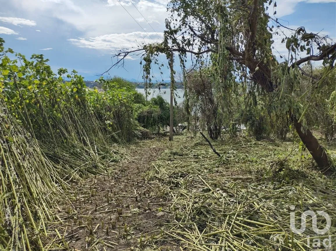 Terreno en Venta en Tequesquitengo, Jojutla, Morelos | NEX-55446 | iad México | Foto 3 de 11