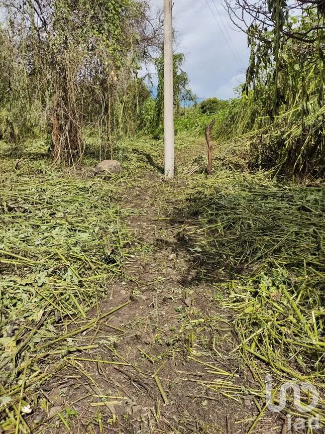 Terreno en Venta en Tequesquitengo, Jojutla, Morelos | NEX-55446 | iad México | Foto 5 de 11