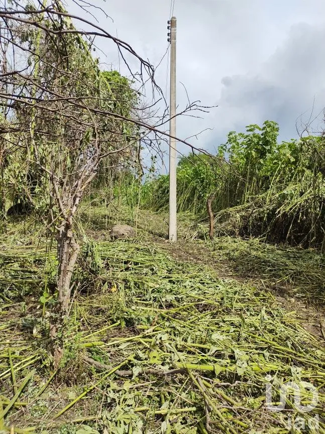 Terreno en Venta en Tequesquitengo, Jojutla, Morelos | NEX-55446 | iad México | Foto 10 de 11